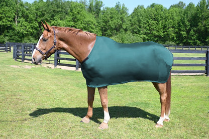 5-153121_turquoise.jpg