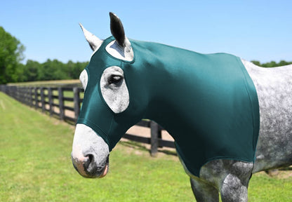 5-153144_turquoise.jpg