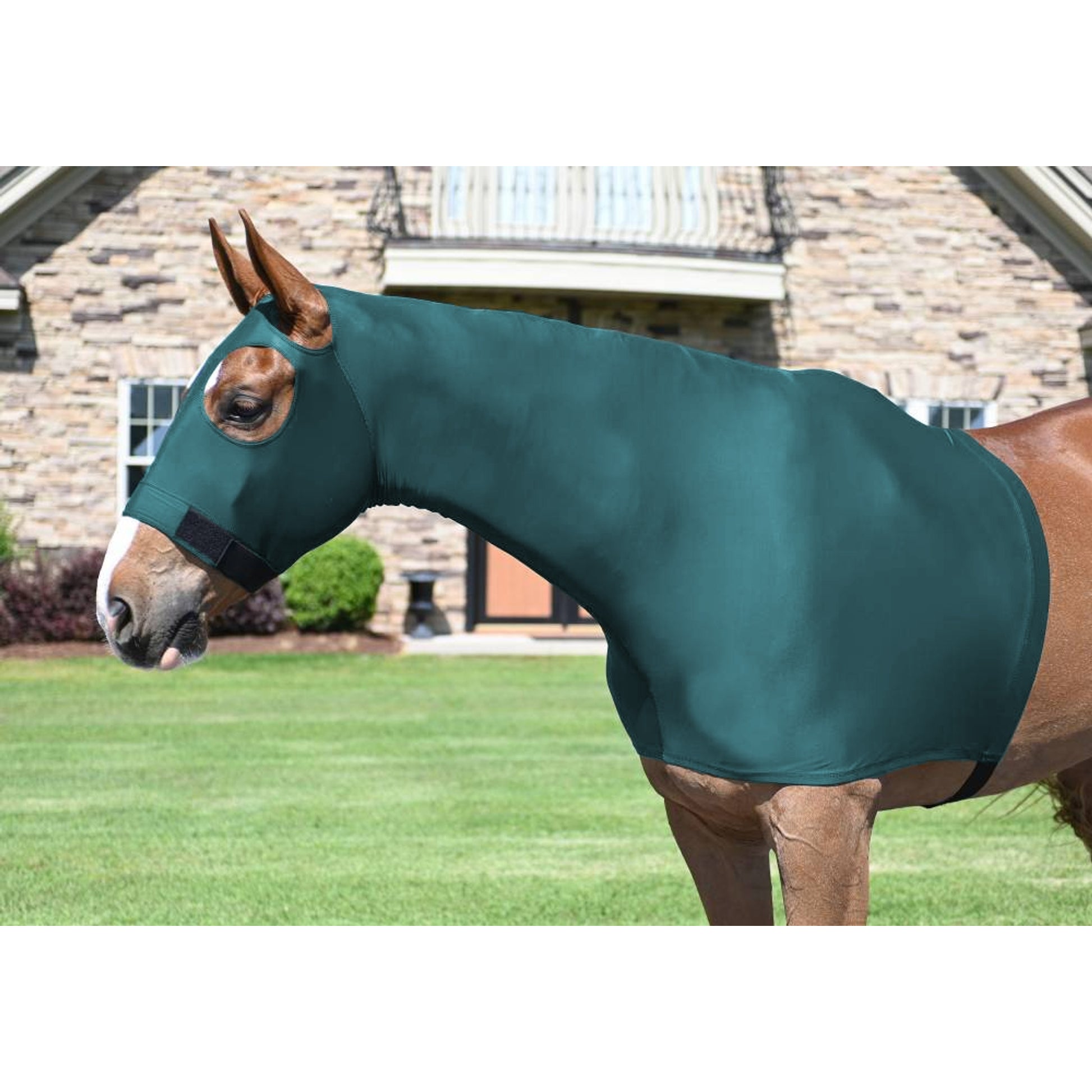 5-362154_turquoise.jpg