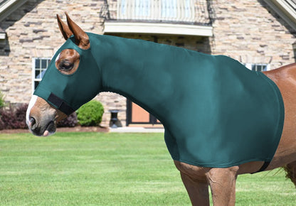 5-362154_turquoise.jpg