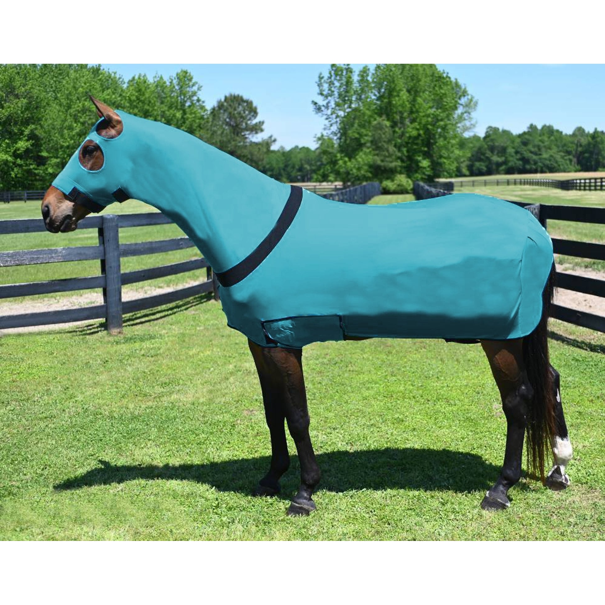 5-984152turquoise.jpg