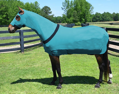 5-984152turquoise.jpg