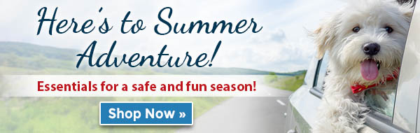 Here’s to Summer Adventure! Essentials for a safe and fun season!